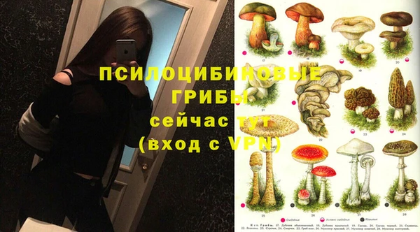 МДПВ Абдулино