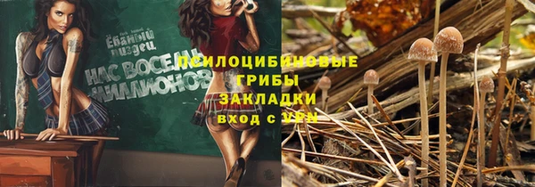МДПВ Абдулино