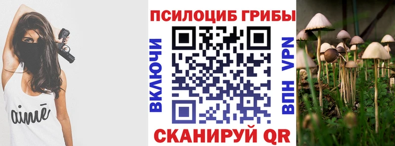 Псилоцибиновые грибы Psilocybine cubensis Усть-Катав